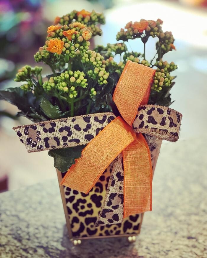 Images Gil-Man Florist Inc.
