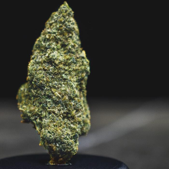 Images NuVue Pharma Dispensary