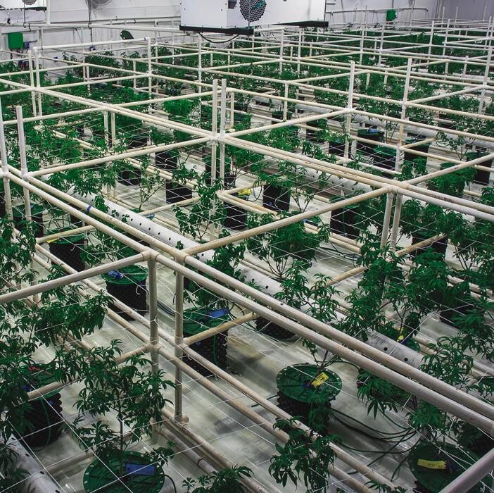 Images NuVue Pharma Dispensary