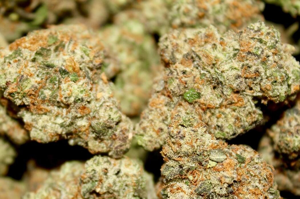 Images NuVue Pharma Dispensary