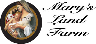 Images Mary's Land Farm Main Store