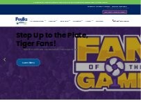 Website Screenshot Foulks Southern Air Heating and Cooling