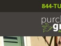 Website Screenshot Purchase Green Artificial Grass