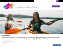 Website Screenshot Vivid Ink LLC