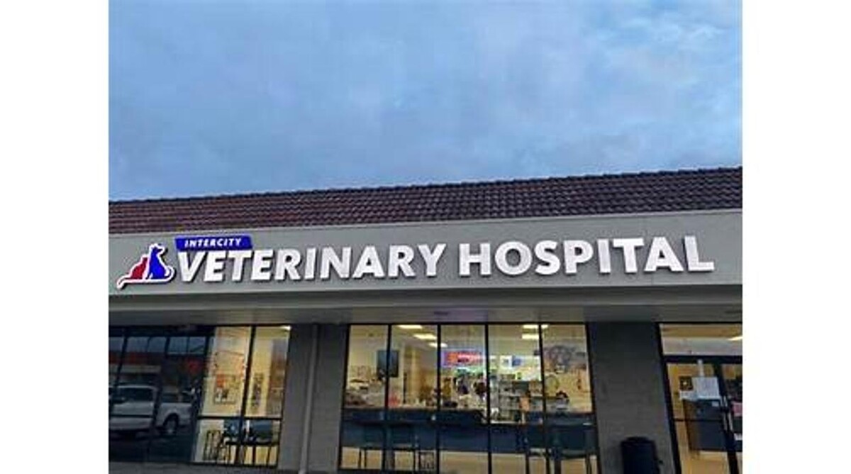 Images Intercity Veterinary Hospital ( Value Vet Animal Clinic)