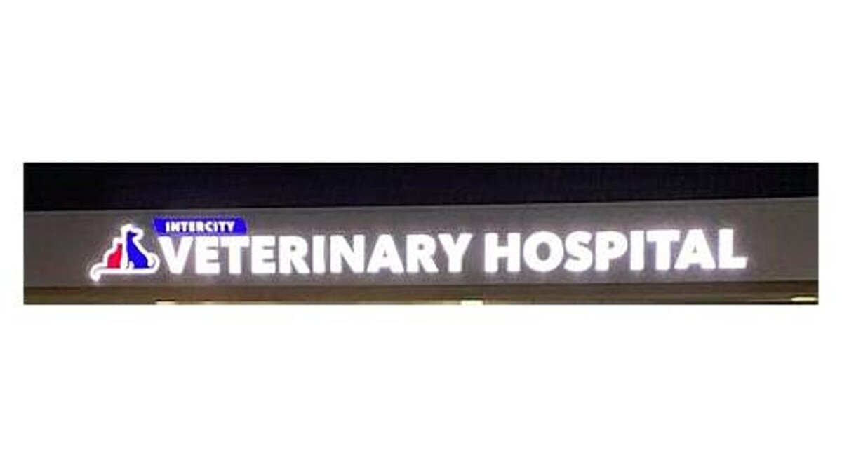 Images Intercity Veterinary Hospital ( Value Vet Animal Clinic)