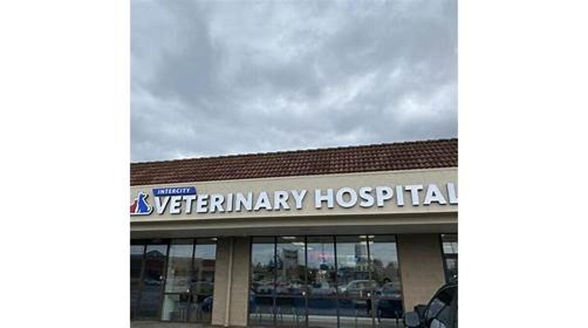 Images Intercity Veterinary Hospital ( Value Vet Animal Clinic)
