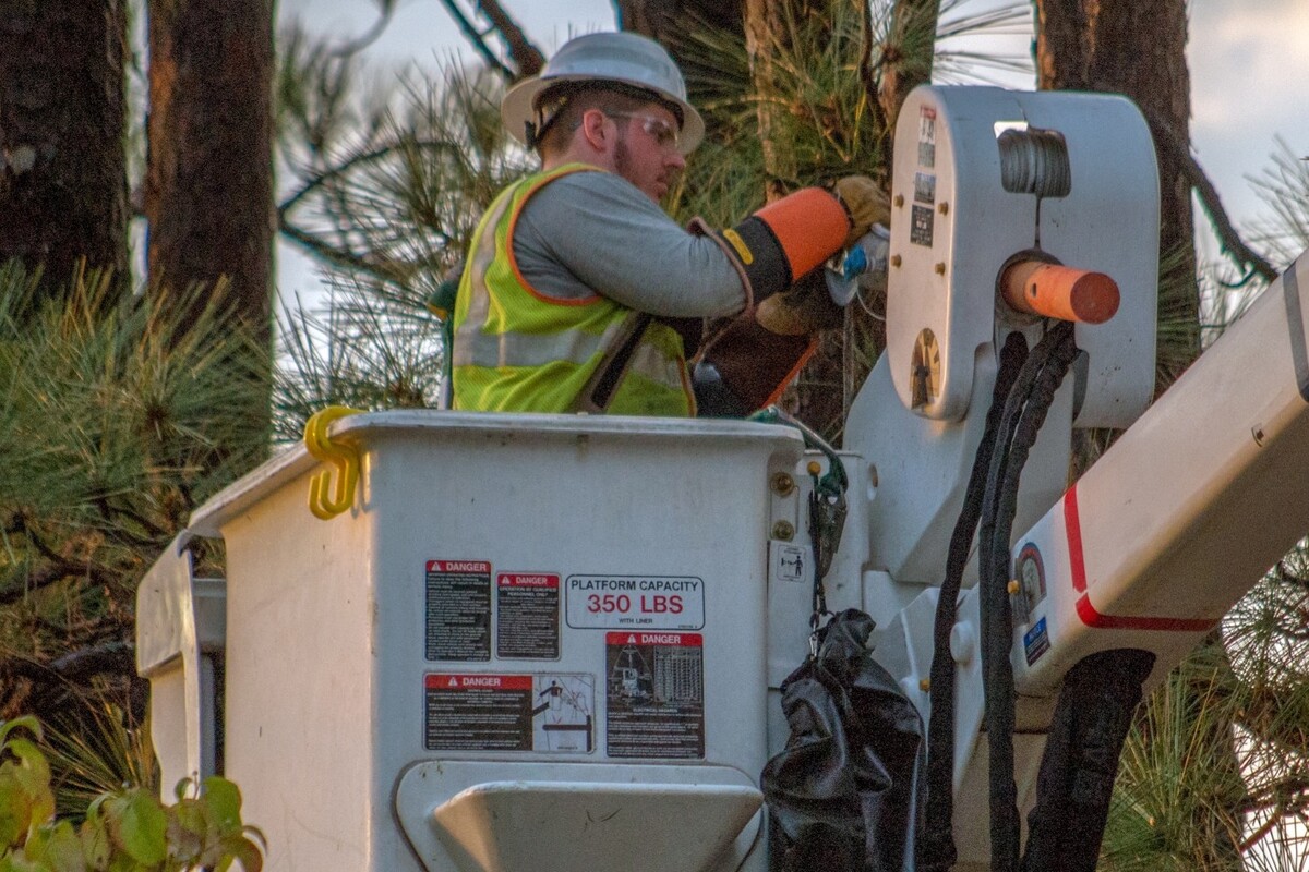 Images Sunbelt Solomon