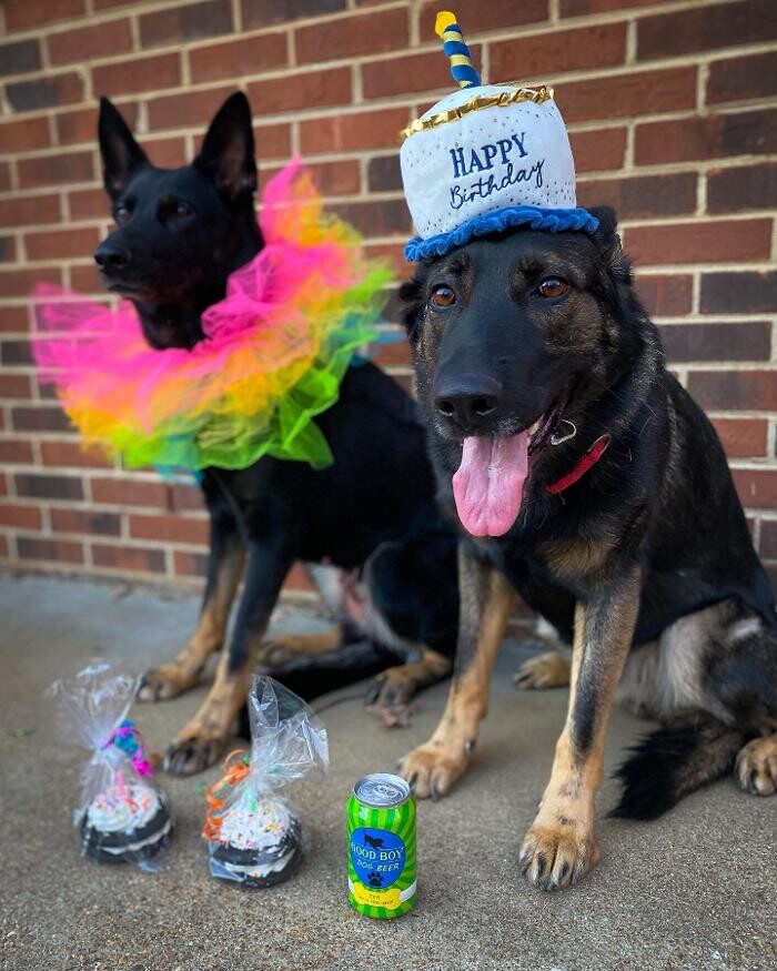 Images DeNovo Canine and Pet Services LLC