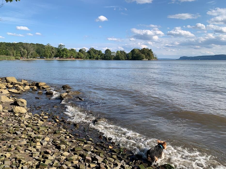 Images Berkshire Hathaway HomeServices River Towns Real Estate