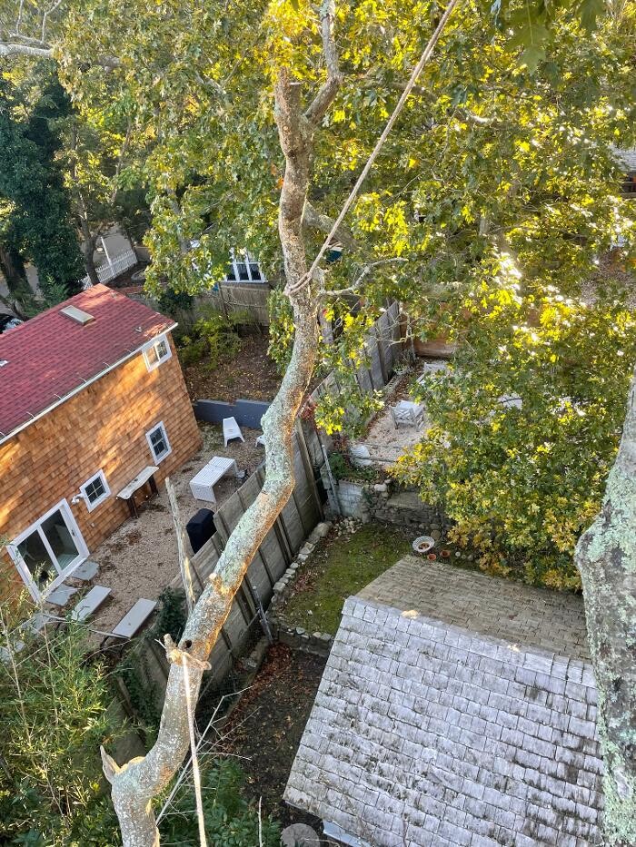 Images Climbers Tree Care Specialist, Inc.