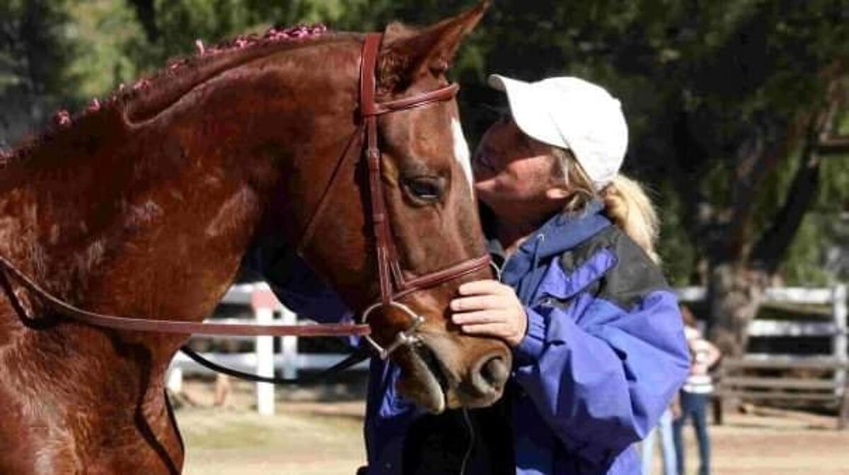 Images Kings Corner Training Stables