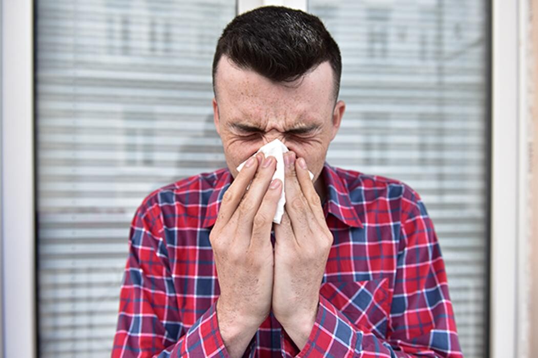 Images Tampa Bay Breathe Free Sinus & Allergy Centers