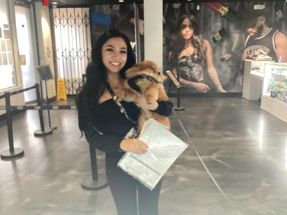 Images STIIIZY Western (Koreatown)