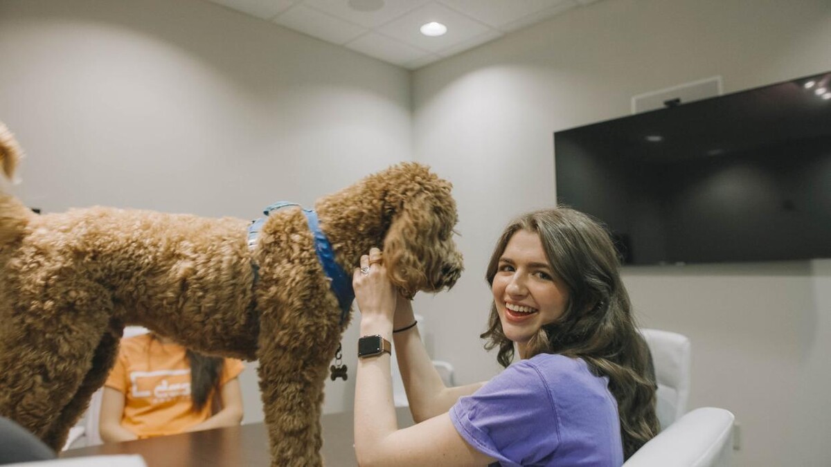 Images Dash Home Loans