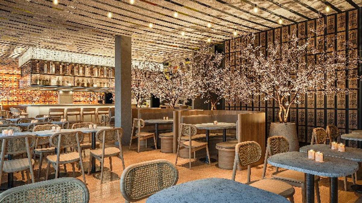Images Paperfish Sushi
