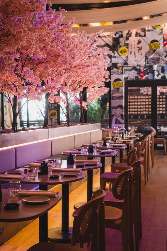 Images Paperfish Sushi