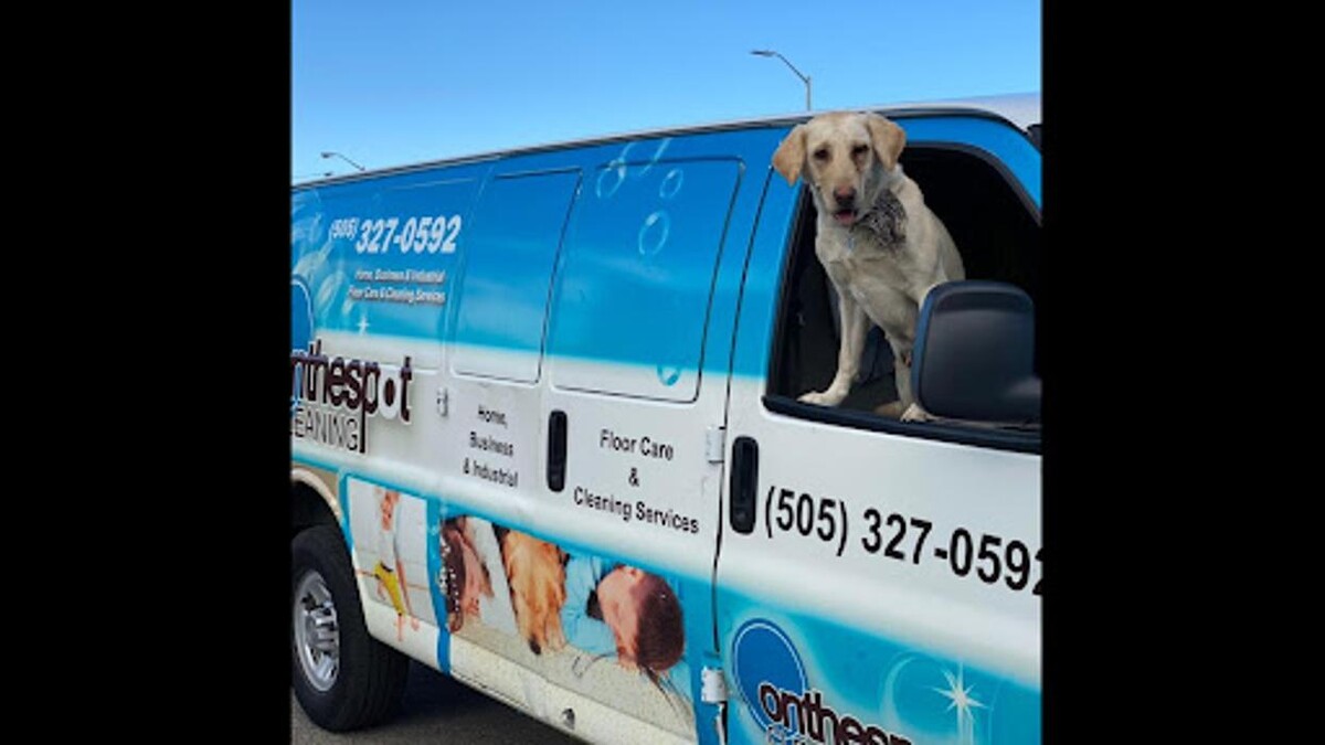 Images On The Spot Cleaning