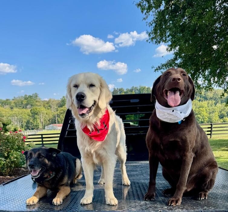 Images 7H Roofing and Construction