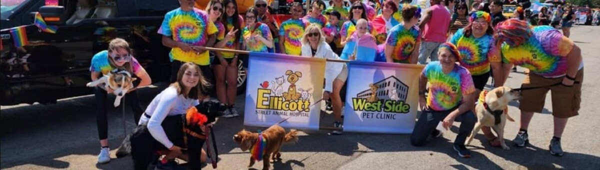 Images West Side Pet Clinic