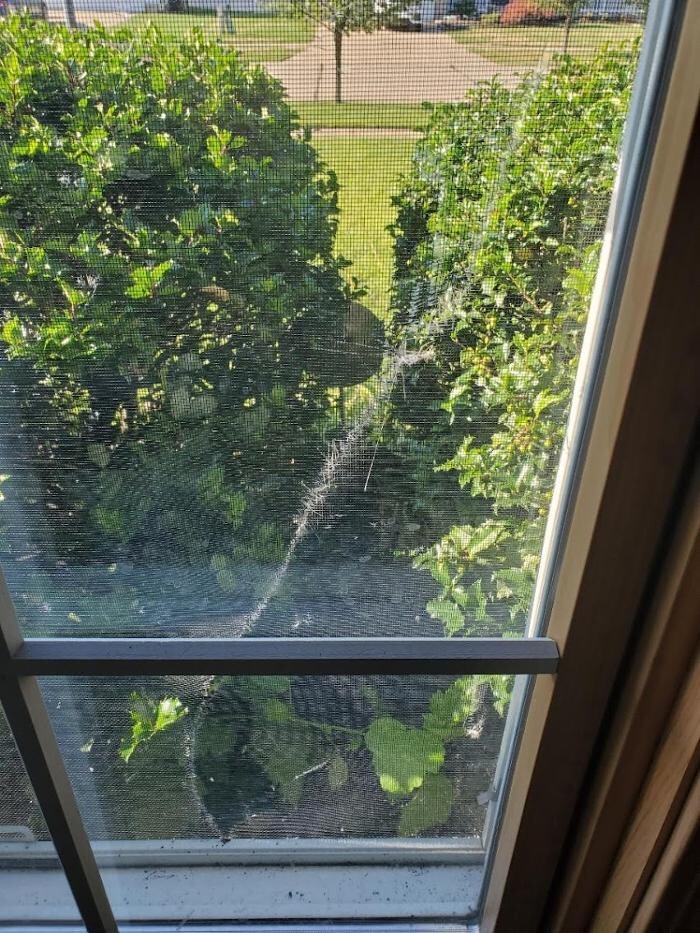 Images NextGen Restoration