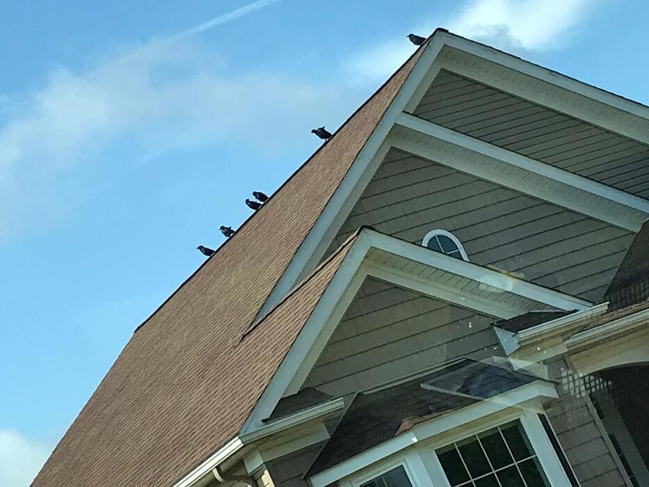 Images NextGen Restoration