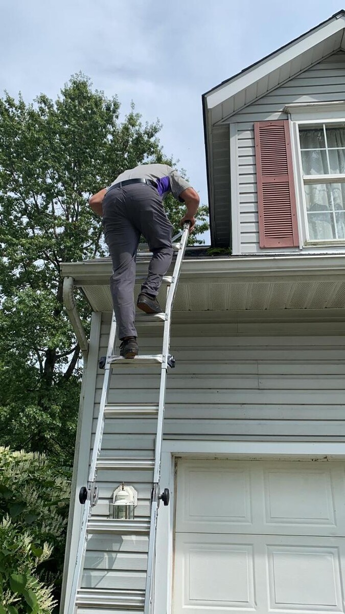 Images NextGen Restoration