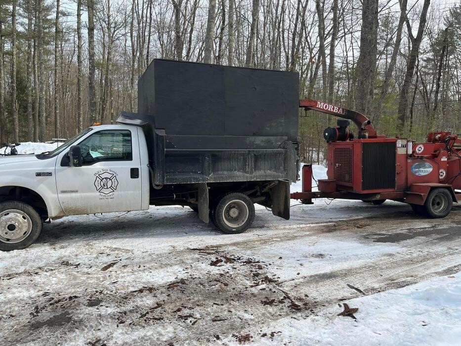 Images Phil's Tree Service Seacoast