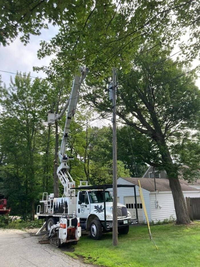 Images Phil's Tree Service Seacoast