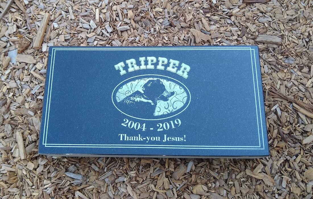 Images Forever in Stone