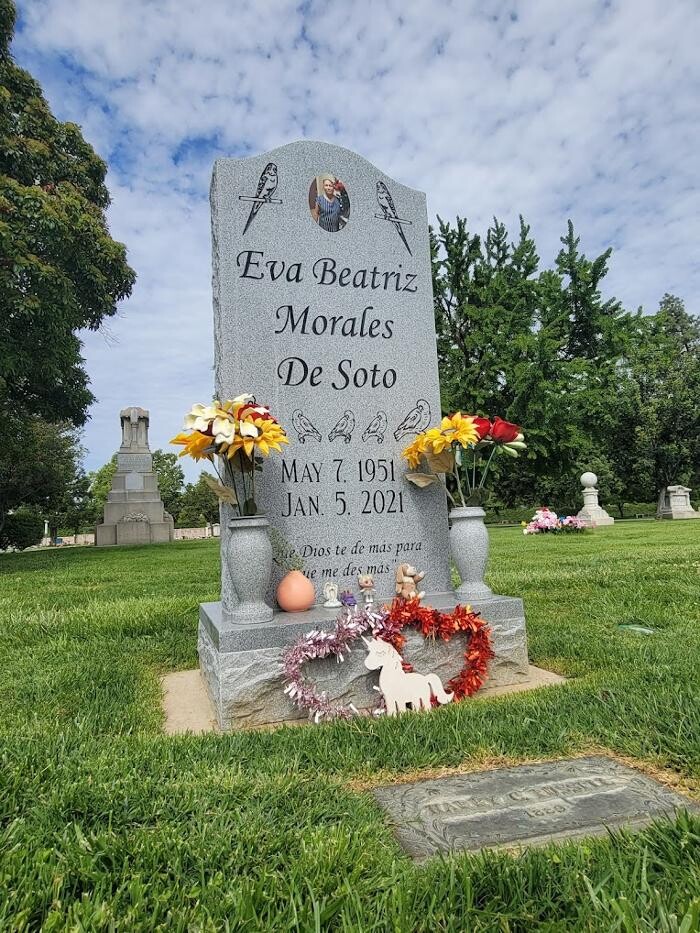 Images Forever in Stone