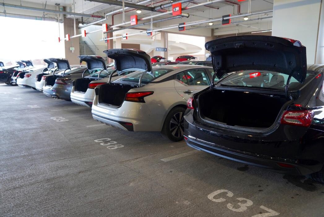 Images Avis Car Rental