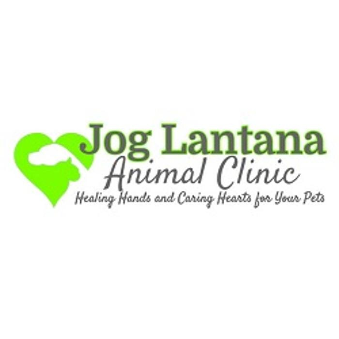Jog Lantana Animal Clinic Logo