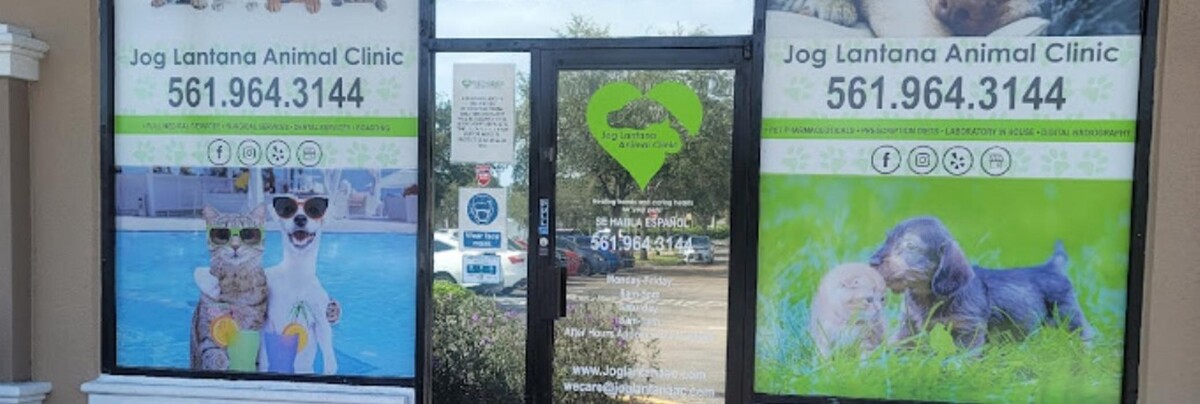 Images Jog Lantana Animal Clinic