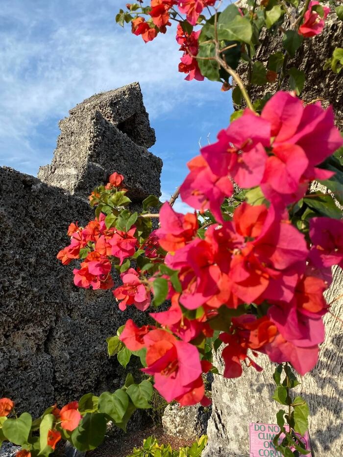 Images Coral Castle