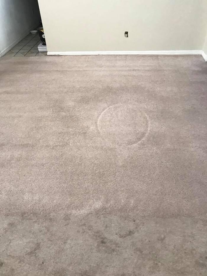 Images Victory Lane Carpet & Tile Cleaning