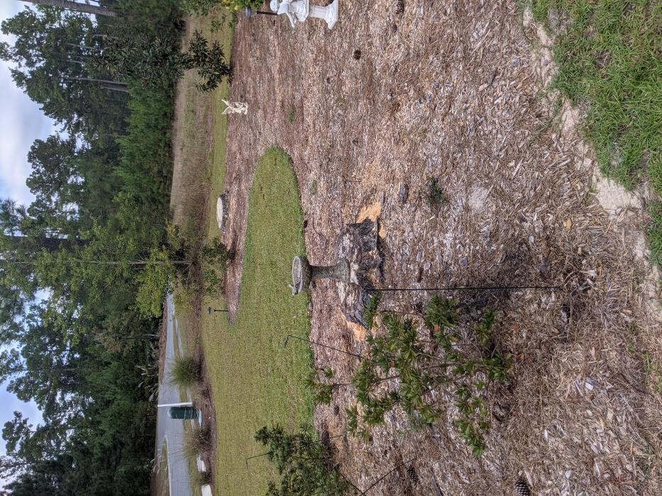 Images Southern Crab Stump Grinding