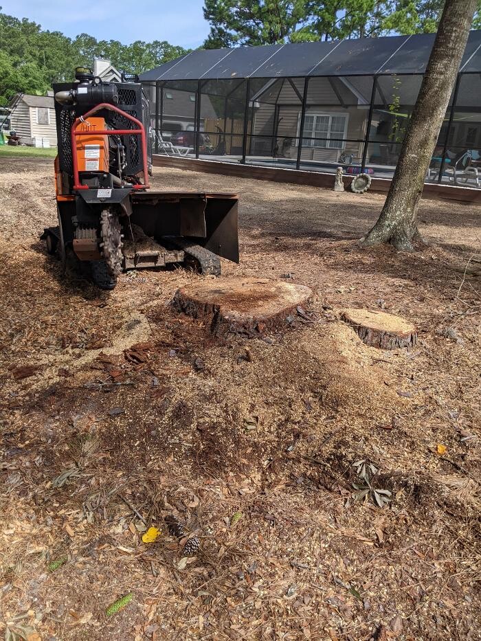 Images Southern Crab Stump Grinding
