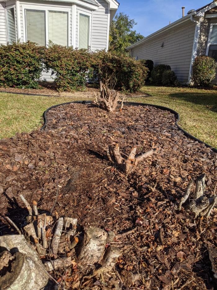 Images Southern Crab Stump Grinding
