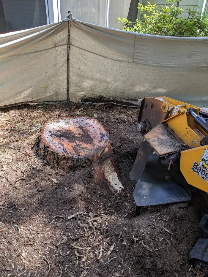 Images Southern Crab Stump Grinding