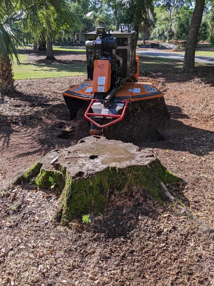 Images Southern Crab Stump Grinding