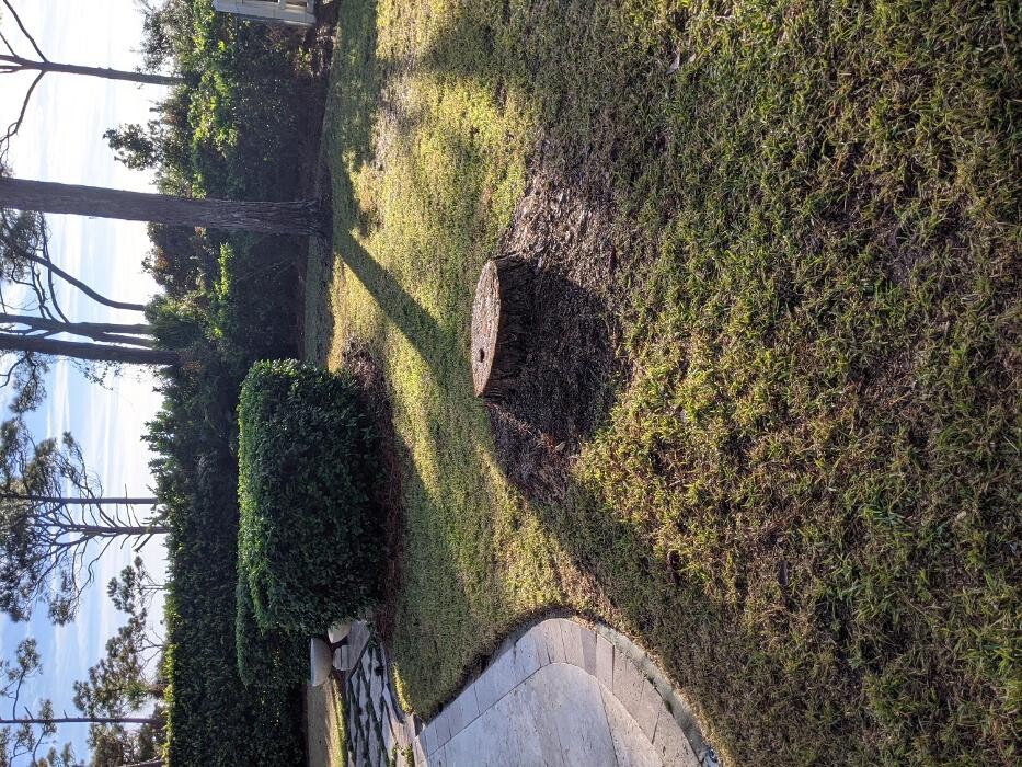 Images Southern Crab Stump Grinding