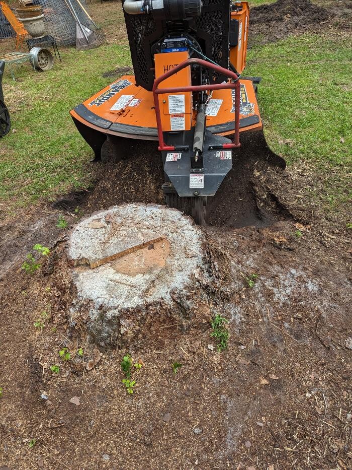 Images Southern Crab Stump Grinding