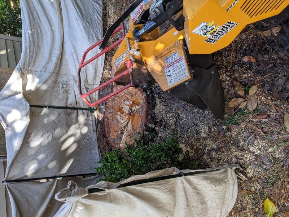 Images Southern Crab Stump Grinding