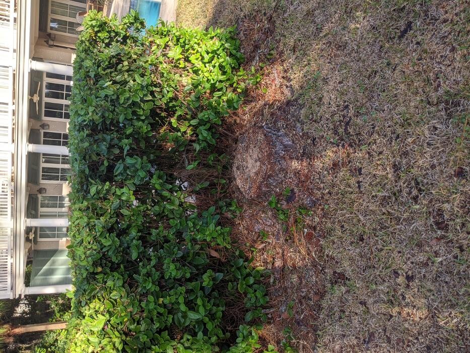 Images Southern Crab Stump Grinding