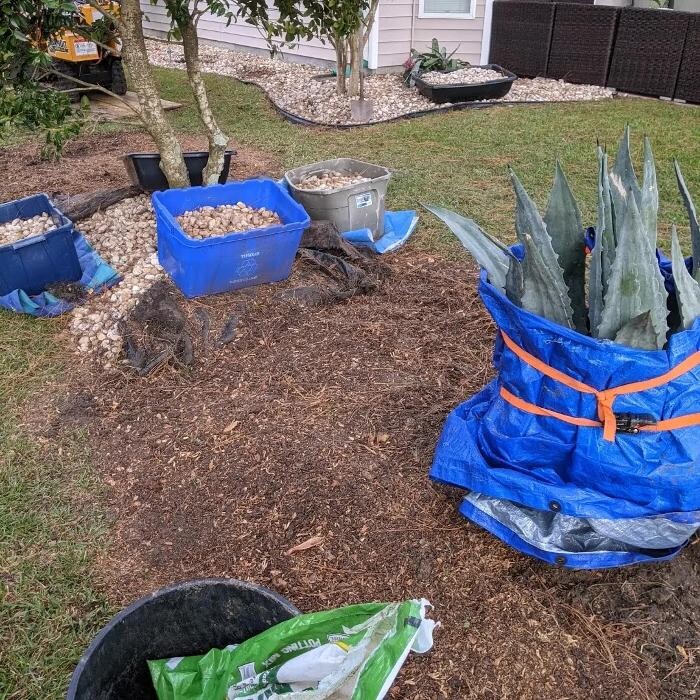 Images Southern Crab Stump Grinding