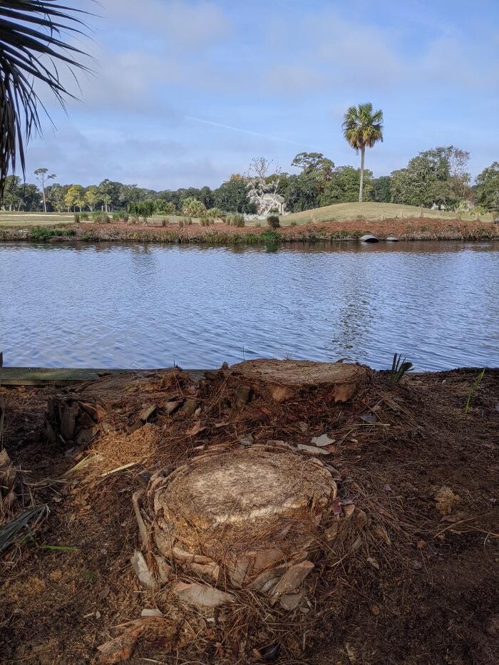 Images Southern Crab Stump Grinding