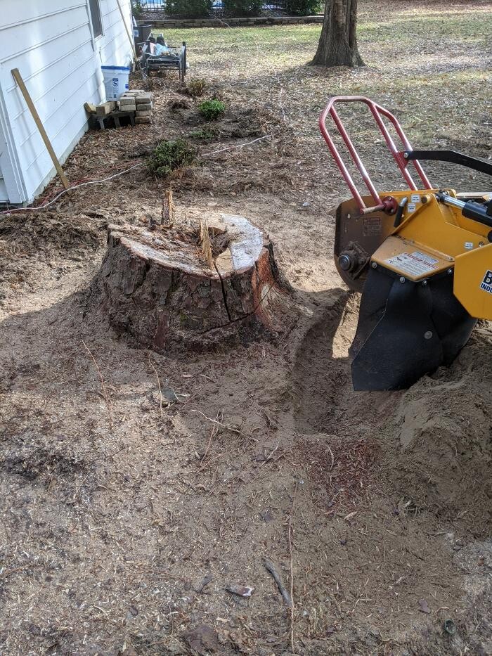 Images Southern Crab Stump Grinding