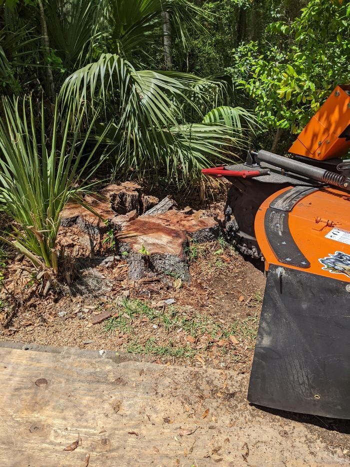 Images Southern Crab Stump Grinding