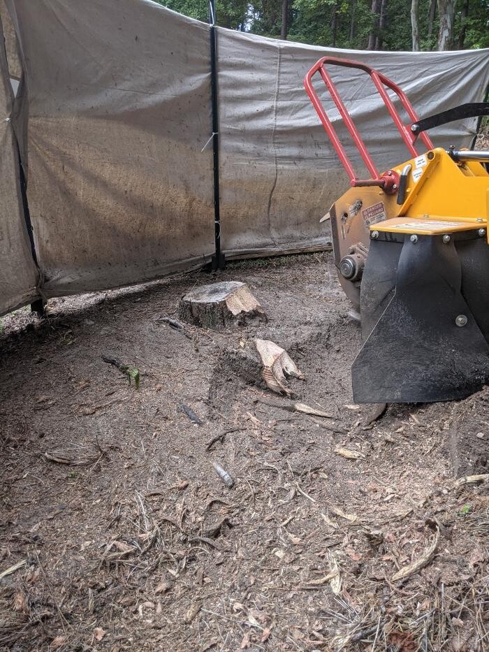 Images Southern Crab Stump Grinding